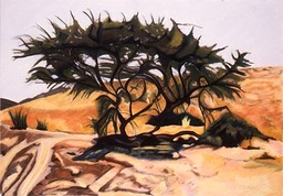 ©1992 Jan Aronson Acacia Tree, Isreal Pastel on Paper 27X39