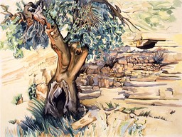 ©1992 Jan Aronson Pistachio Tree Israel Watercolor on Paper 18X24