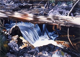 ©1992 Jan Aronson Toward Kane Lake Oil on Canvas 36X50 SOLD