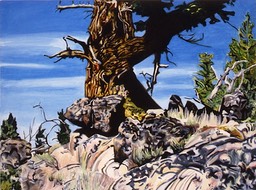 ©1993 Jan Aronson Toward Horton Peak Oil on Canvas 18X24