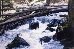 ©1994 Jan Aronson Bench Creek #3 Oil on Canvas 50X72