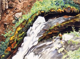 ©1994 Jan Aronson Prairie Creek #1 Watercolor on Paper 18X24