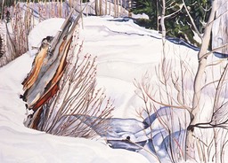©1995 Jan Aronson Boulder Creek #5 Watercolor on Paper 18x24