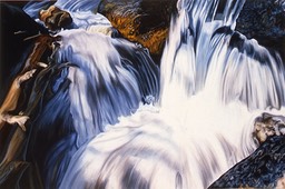 ©1996 Jan Aronson Bellas Creek #3 Oil on Canvas 40x60