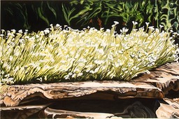 ©1997 Jan Aronson Garden #1 Idaho Oil on Canvas 28x42 SOLD