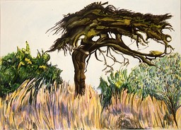 ©1997 Jan Aronson Kenya #14 Watercolor 10x14