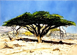 ©1997 Jan Aronson Kenya #9 Watercolor on Paper 10x14.jpg
