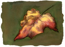 ©2001 Jan Aronson Leaf #11 Watercolor Paper 6.25x8.5