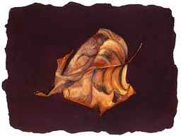 ©2001 Jan Aronson Leaf #3 Watercolor Paper 6.25x8.5