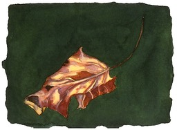 ©2001 Jan Aronson Leaf #8 Watercolor Paper 6.25x8.5