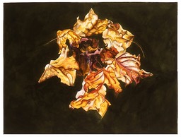 ©2002 Jan Aronson Leaves #2 Watercolor Paper 18x24
