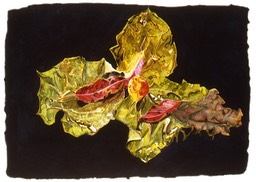 ©2002 Jan Aronson Leaves #7 Watercolor Paper 12x17