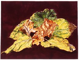 ©2003 Jan Aronson Leaves #10 Watercolor Paper 18x24