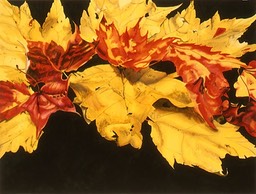 ©2003 Jan Aronson Leaves #12 Watercolor Paper 18x24