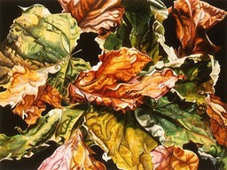 ©2003 Jan Aronson Leaves #13 Watercolor Paper 18x24
