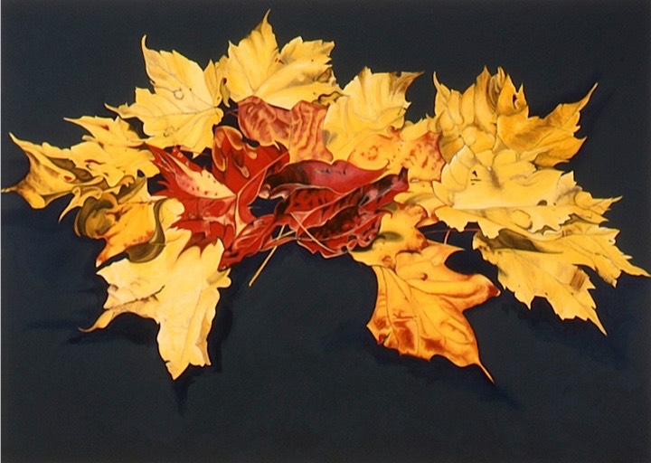 ©2003 Jan Aronson Leaves #28 Oil On Canvas 60x84