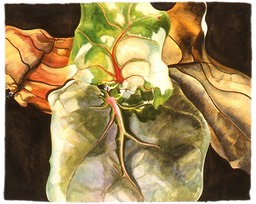 ©2004 Jan Aronson Leaves #18 Watercolor on Paper 16x20