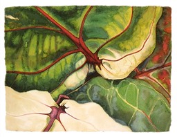 ©2004 Jan Aronson Leaves #25 Watercolor on Paper 9x12