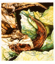 ©2005 Jan Aronson Leaves #33 Watercolor & Gouache - Paper 13.5x12.5
