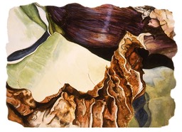 ©2005 Jan Aronson Leaves #34 Watercolor & Gouache - Paper 11x15