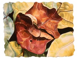 ©2005 Jan Aronson Leaves #37 Watercolor & Gouache - Paper 17x20.5