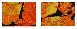 ©2005 Jan Aronson Leaves #45 & 47 as pair Oil On Canvas 18x48